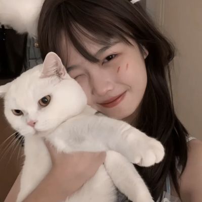 网站执照验证截图