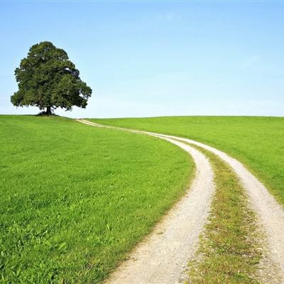 乐鱼平台app下载官网