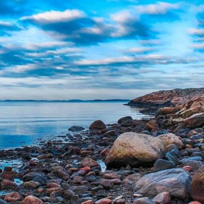 博鱼综合体育官方网站入口