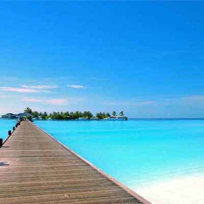 网站执照验证截图